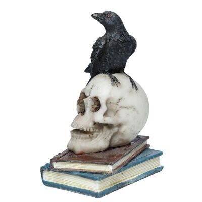 Krähe stehend auf Totenkopf & Bücher-Ornament