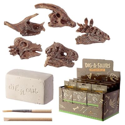 Rawr Dinosaur Skull Fossil Dig-A-Saurs Kit de excavación
