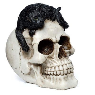 Crâne avec ornement de chat noir