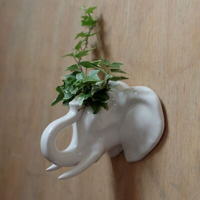 Jardinera de pared de jardín de cabeza de elefante de cerámica / maceta