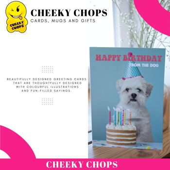 Funny Rude Sweary Mean Old Joke Carte d'anniversaire pour elle – Chin Hair – C39 3