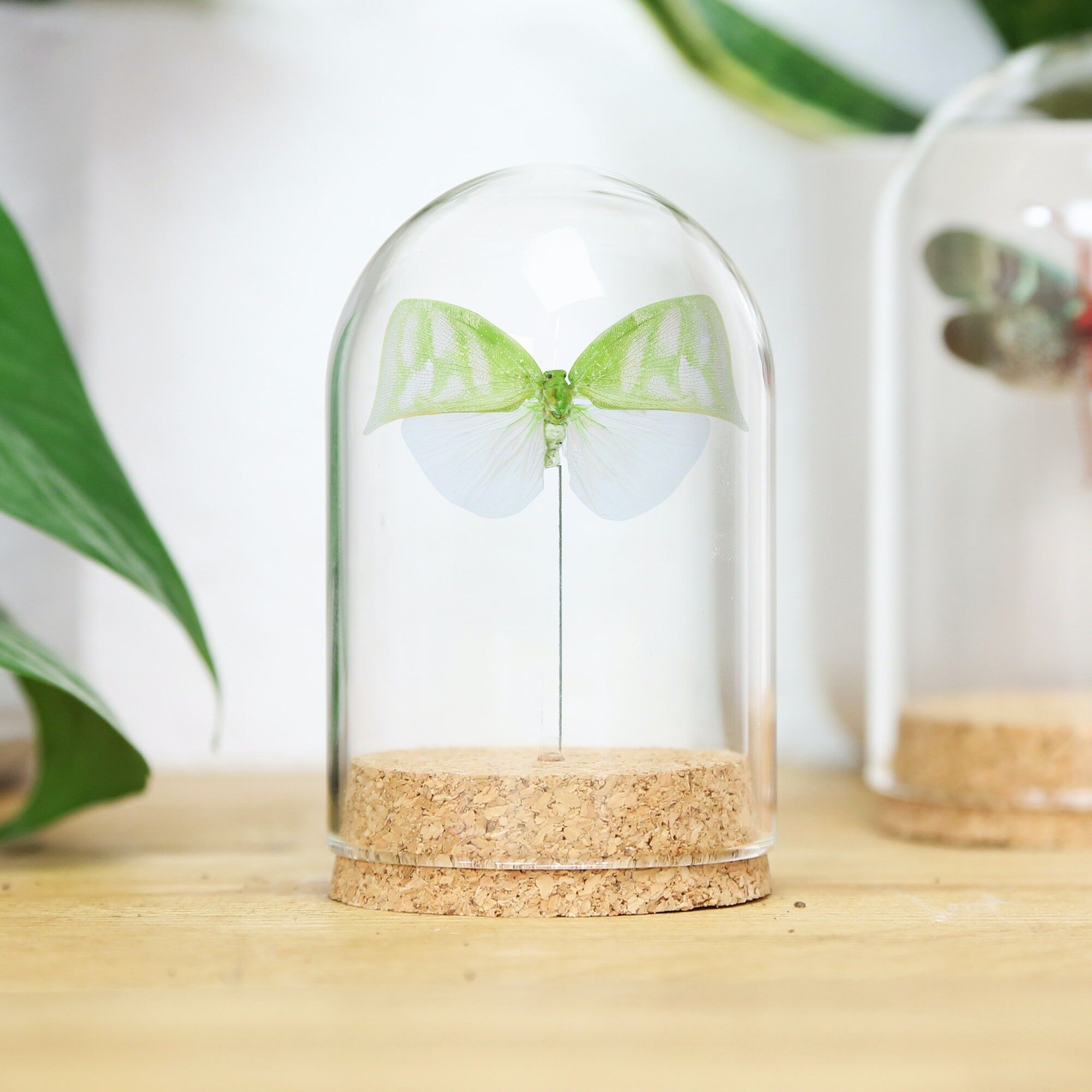 Grüne Planthopper-Glocke