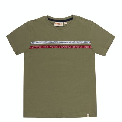 Boy's khaki single jersey cotton T-shirt, short sleeves, print on the front. (2y-16y)