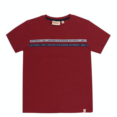 Boy's red single jersey cotton T-shirt, short sleeves, print on the front. (2y-16y)