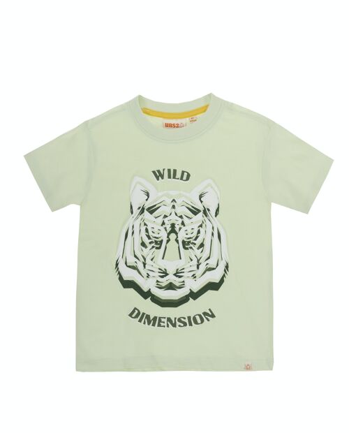 Camiseta de niño en punto liso de algodón color verde agua, manga corta, estampado delante. (2y-16y)
