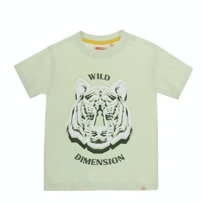 Aquagrünes Jungen-T-Shirt aus Single-Jersey-Baumwolle, kurze Ärmel, Aufdruck auf der Vorderseite. (2-16 Jahre)