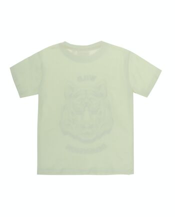 T-shirt garçon vert d'eau en jersey simple de coton, manches courtes, imprimé devant. (2a-16a) 2