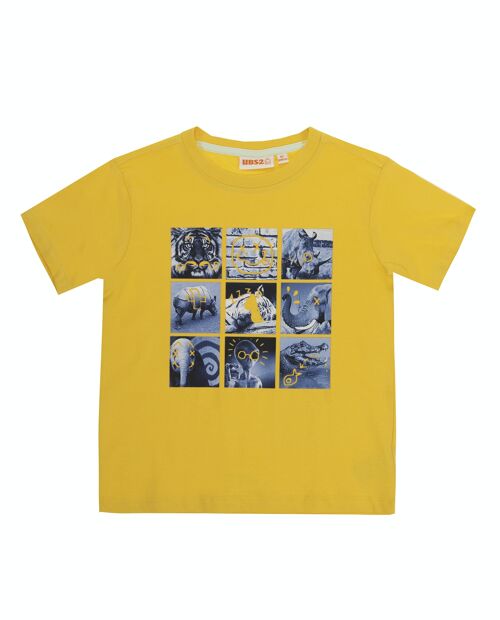 Camiseta de niño en punto liso de algodón, manga corta, estampado delante. (2y-16y)