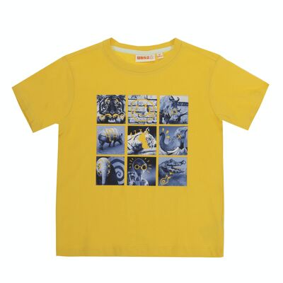 Boy's single jersey cotton T-shirt, short sleeves, print on the front. (2y-16y)