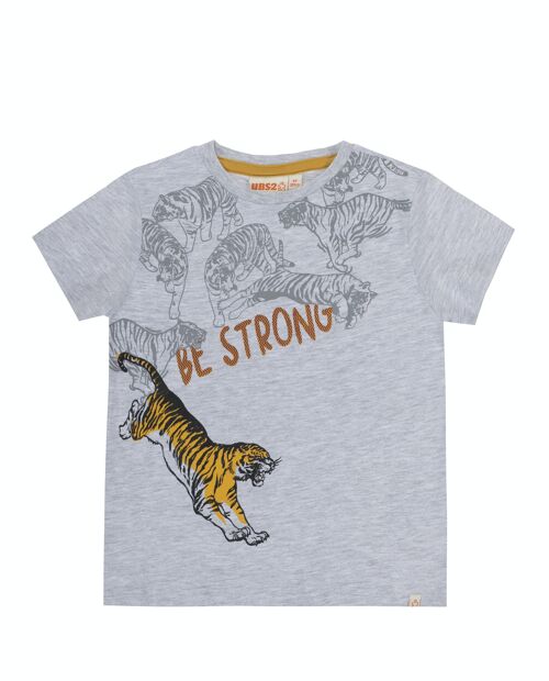 Camiseta de niño en punto liso de algodón gris claro, manga corta, estampado delante. (2y-16y)