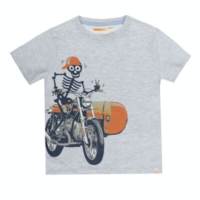 Camiseta de niño en punto liso de algodón color gris claro, manga corta, estampado delante. (2y-16y)