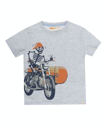 T-shirt garçon gris clair en jersey simple de coton, manches courtes, imprimé devant. (2a-16a) 1