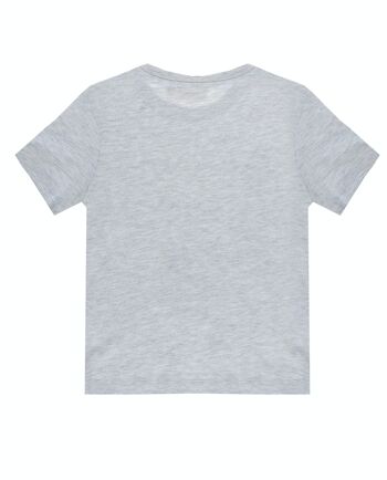 T-shirt garçon gris clair en jersey simple de coton, manches courtes, imprimé devant. (2a-16a) 2