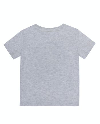 T-shirt garçon gris clair en jersey simple de coton, manches courtes, imprimé devant. (2a-16a) 2