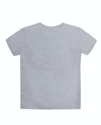 T-shirt homme gris clair en jersey simple de coton, manches courtes, imprimé devant. (XS-XL) 3