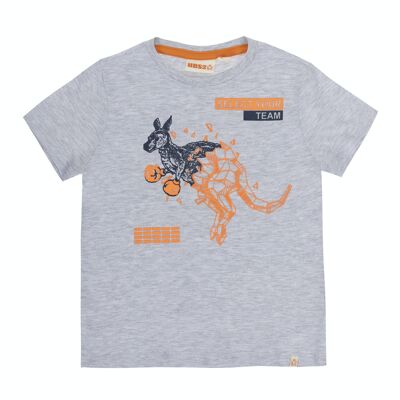 Boy's light gray single jersey cotton T-shirt, short sleeves, print on the front. (2y-16y)