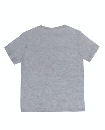 T-shirt garçon gris clair en jersey simple de coton, manches courtes, imprimé devant. (2a-16a) 2