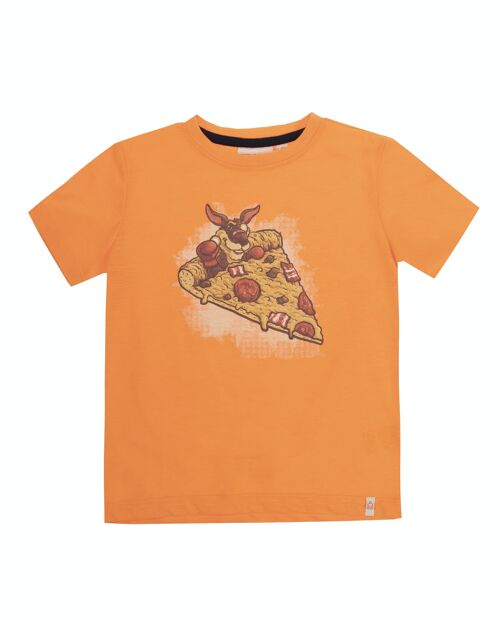 Camiseta de niño en punto liso gatas de algodón color naranja  flúor, manga corta, estampado delante. (2y-16y)