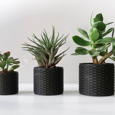 Set of three planters - Wave Bold - Three sizes