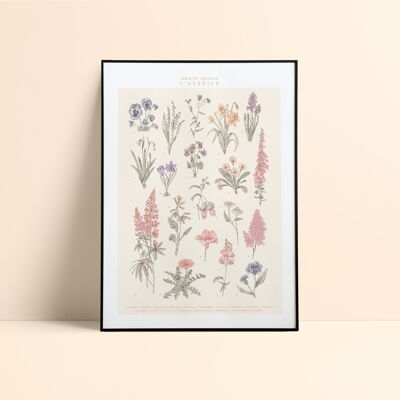 Poster "The herbarium" 30x40cm