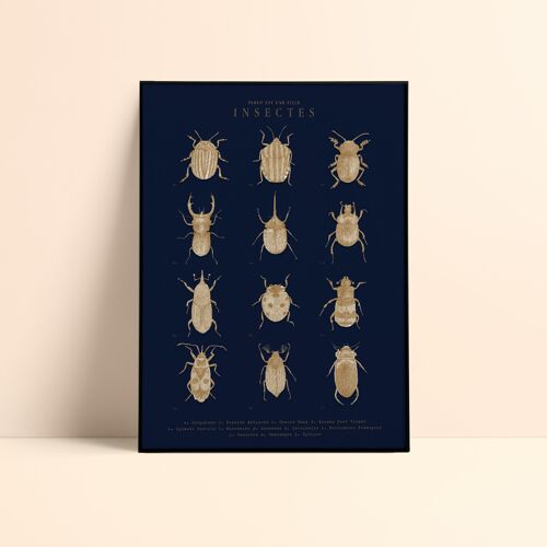 Affiche "Insectes" 30x40cm