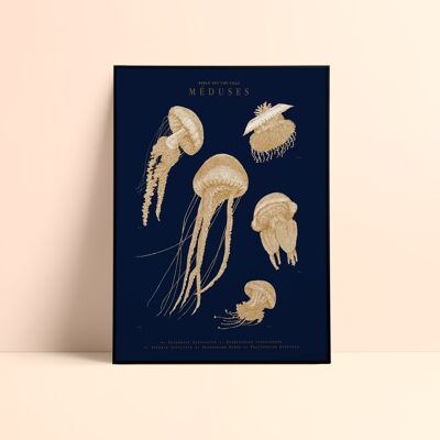 Poster "Jellyfish" 30x40cm