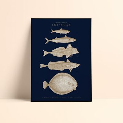 Poster "Fisch" 30x40cm