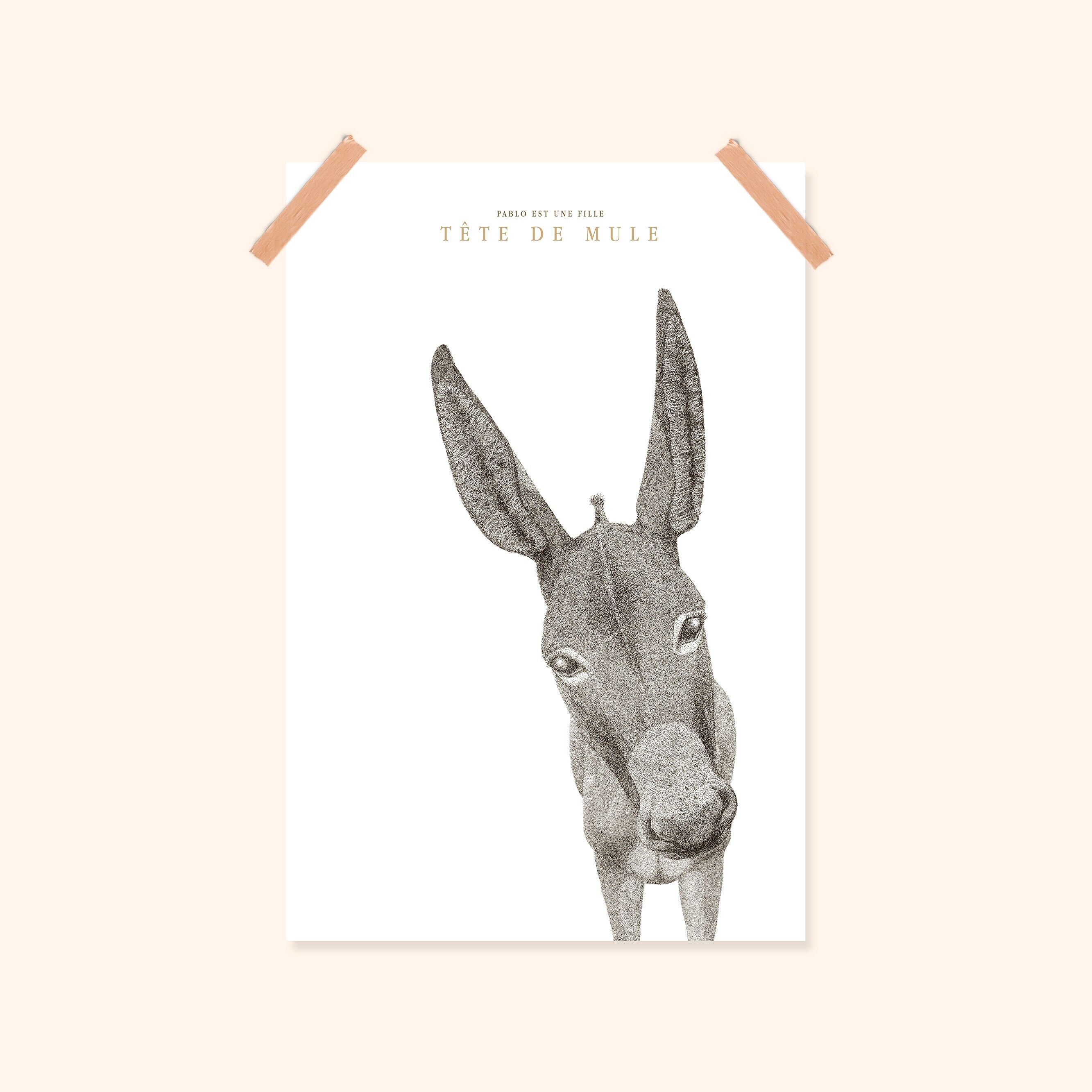 Póster ilustrado 20x30cm – Decoración de pared – Hecho en Bretaña – Tête de Mule – blanco y negro
