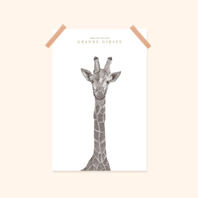 Miniposter "Giraffe" 20x30cm