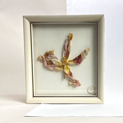 Dried Flowers Tulips from Amsterdam Framed Wall Decor