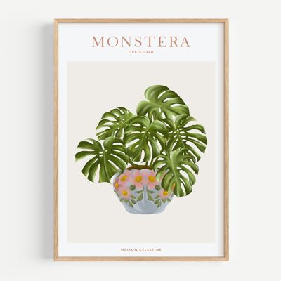 Poster di piante da appartamento Monstera