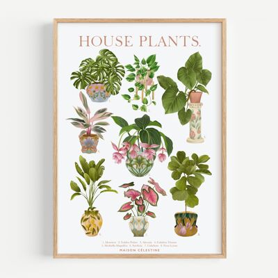 Zimmerpflanzen-Plakat