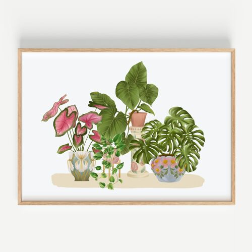 Affiche House Plants Lovers N°2