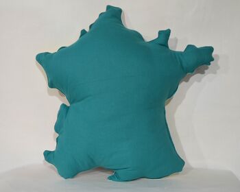 Coussin vert carte de France 4