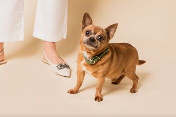 Collier pour chien en cuir végétalien vert 3