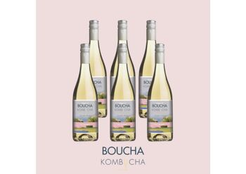 Boucha Kombucha Original Blanc (caisse x6 bouteilles 750ml)