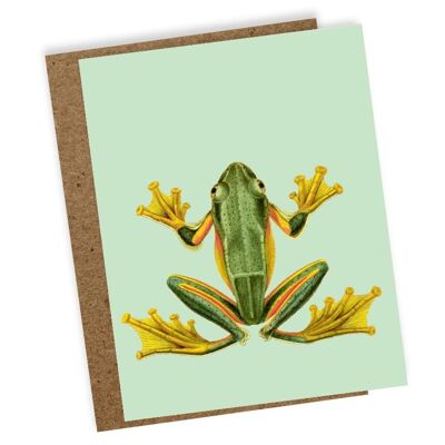 Mini carte de voeux Grenouille