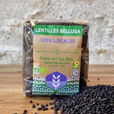 Lentilles Beluga Bio - 400g