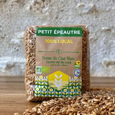 Graines de Petit Epeautre Bio - 400g