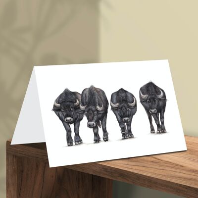 Wasserbüffel-Grußkarte, Tierkarten, lustige Geburtstagskarte, leere Karte, genau wie eine Karte, Bauernhoftierkarte, 16.5x11.5cm, Vier Büffel