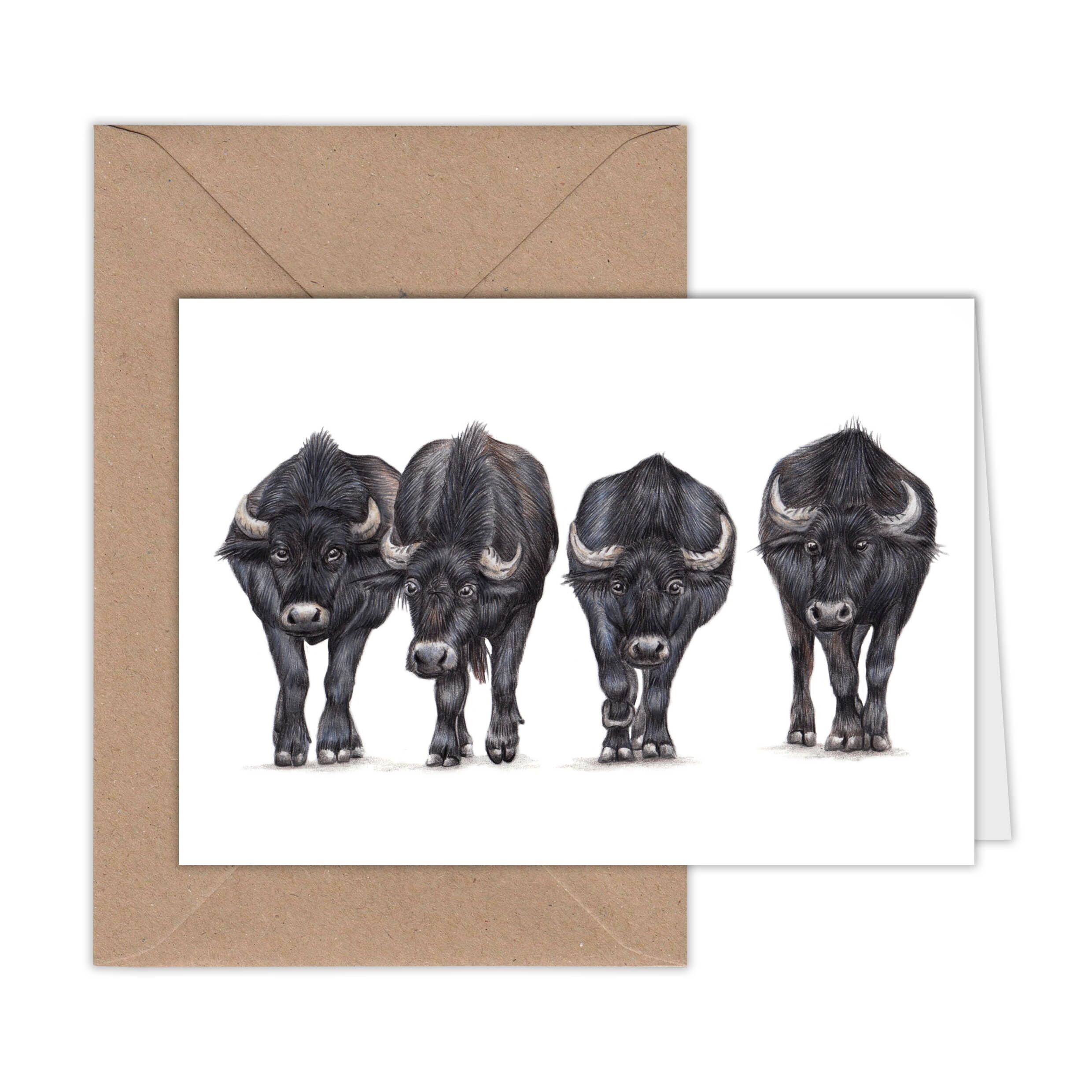 Biglietto d'auguri per bufalo d'acqua, biglietto per animali, biglietto di compleanno divertente, biglietto vuoto, biglietto proprio come, biglietto per animali da fattoria, 16.5x11.5 cm, quattro bufali