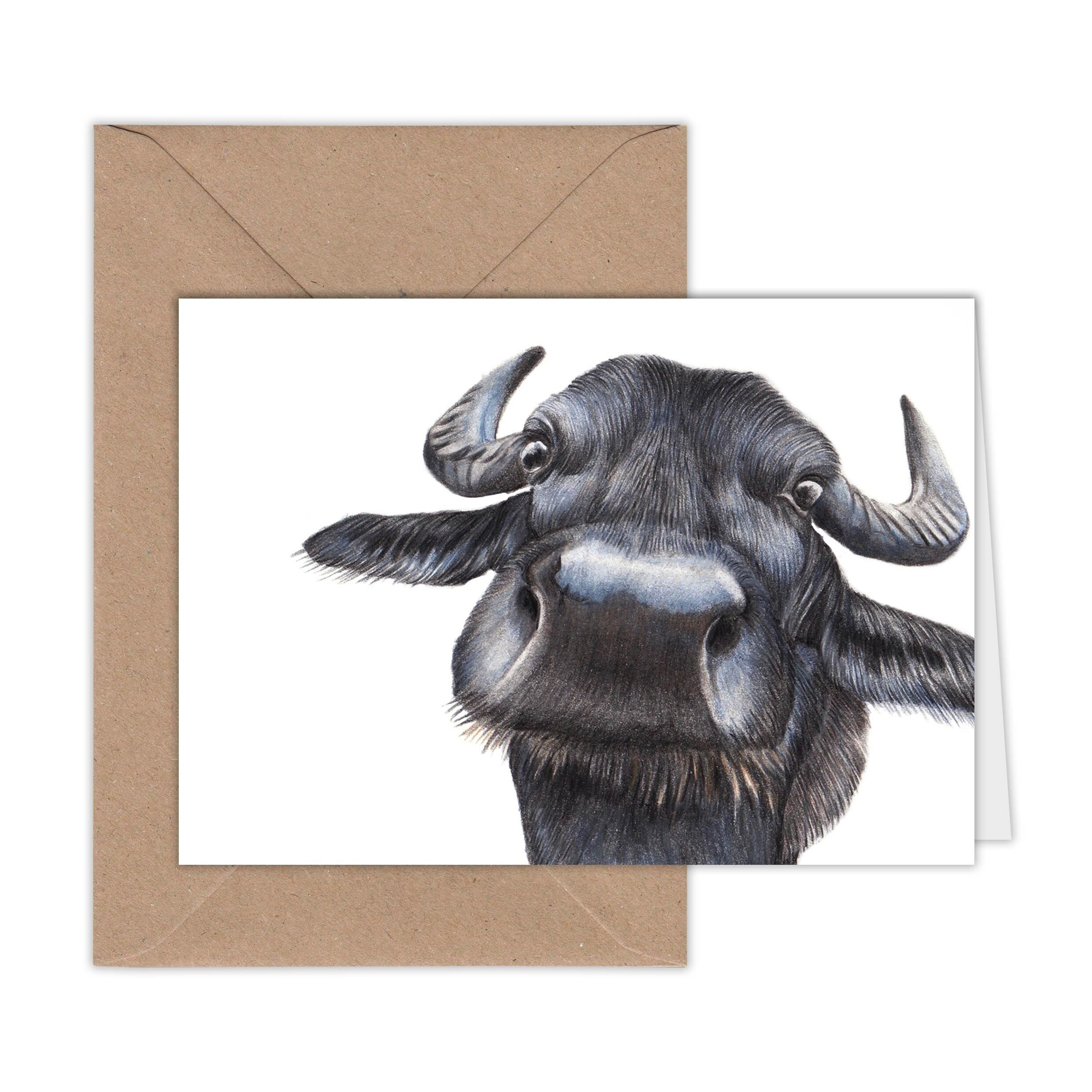 Biglietto d'auguri bufalo d'acqua, biglietti con animali, biglietto di compleanno divertente, biglietto vuoto, proprio come biglietto, biglietto con animali da fattoria, 16,5 x 11,5 cm, naso di bufalo