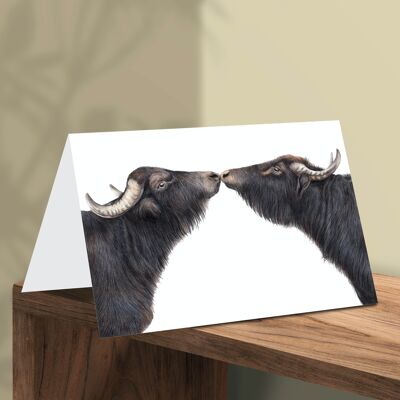 Carte de vœux de buffle d’eau, cartes d’animaux, carte d’anniversaire drôle, carte vierge, n’importe quelle carte, carte d’animaux de ferme, 16,5 x 11,5 cm, Buffalo Kiss