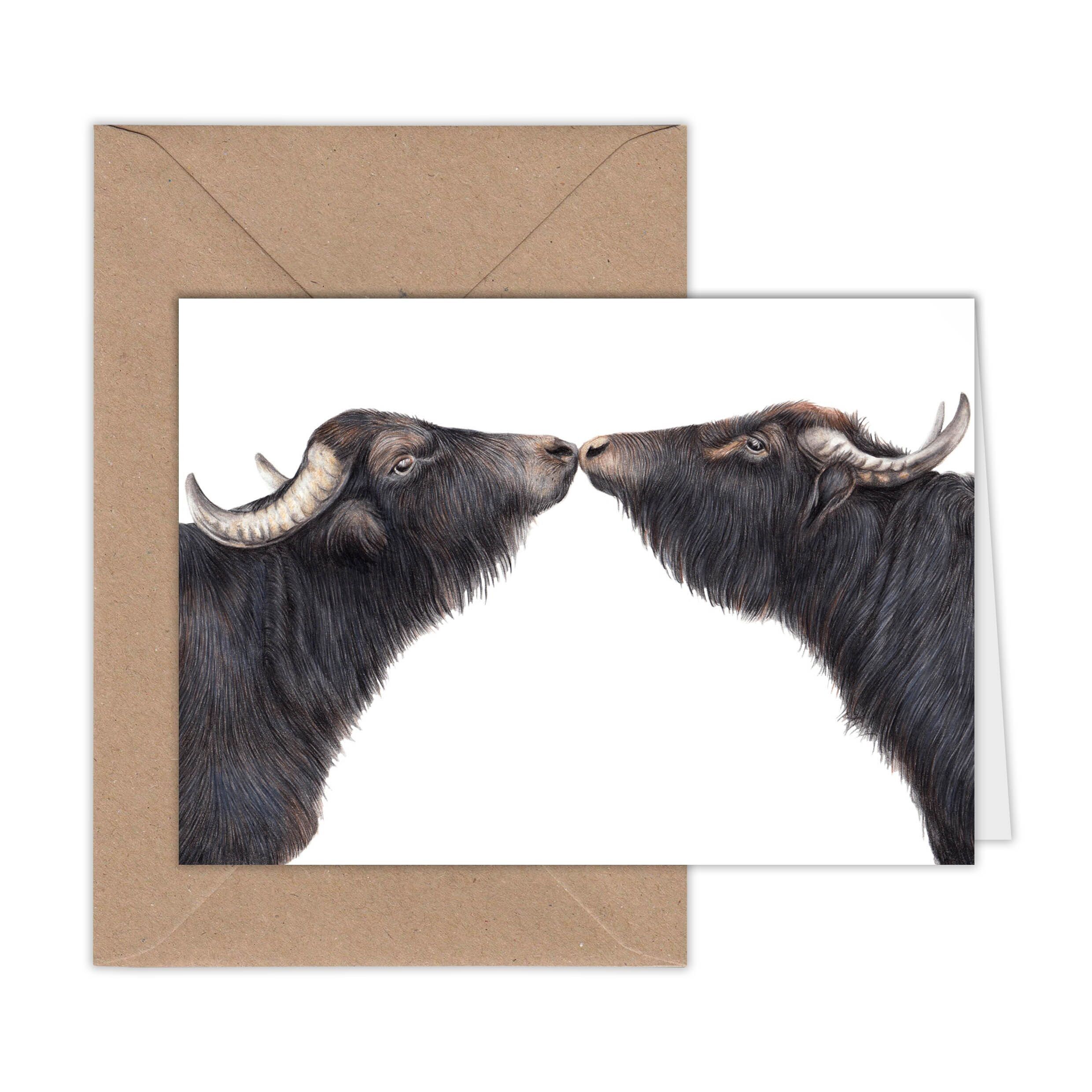 Biglietto d'auguri bufalo d'acqua, biglietti con animali, biglietto di compleanno divertente, biglietto vuoto, qualsiasi biglietto, biglietto con animali da fattoria, 16,5 x 11,5 cm, bacio del bufalo