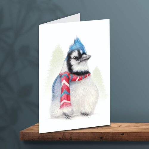 Christmas Card Bird with Scarf, Animal Cards, Funny Greeting Card, Blank Card, Holiday Card, Cute Christmas Cards, 12.3 x 17.5 cm, Jay