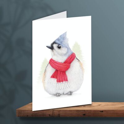 Weihnachtskarte Vogel mit Schal, Tierkarten, lustige Grußkarte, leere Karte, Weihnachtskarte, süße Weihnachtskarten, 12.3x17.5 cm, Meise