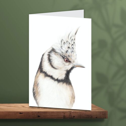 Greeting Card Bird, Crested Tit, Animal Cards, Birthday Card, Blank Card, Just Card, Animal Card, 12.3 x 17.5 cm