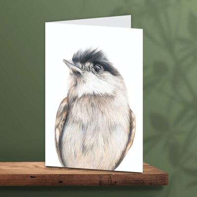 Tarjeta de felicitación pájaro, cabeza negra, tarjetas de animales, tarjeta de cumpleaños, tarjeta en blanco, como tarjeta, tarjeta de animales, 12,3 x 17,5 cm