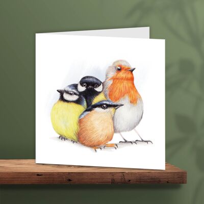 Tarjeta de felicitación pájaros, petirrojo, carbonero común, tarjetas de animales, tarjeta de cumpleaños divertida, tarjeta en blanco, tarjetas de pájaros, 13 x 13 cm