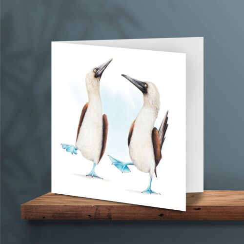 Greeting Card Blue Footed Booby, Animal Cards, Funny Birthday Card, Blank Card, Just Like Card, 13 x 13 cm, Bird Card